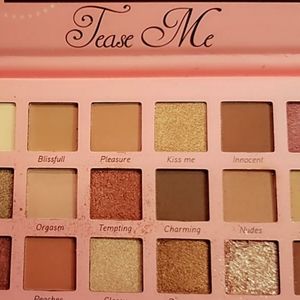 TEASE ME MAKEUP PRO EYESHADOW PALETTE